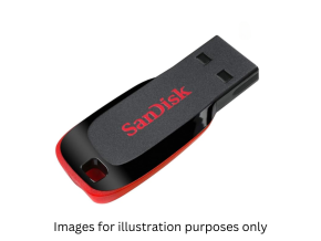 SanDisk Cruzer Blade  32 GB