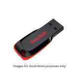 SanDisk Cruzer Blade  32 GB